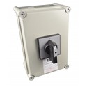 25A 3P Polyester C/O Switch IP65